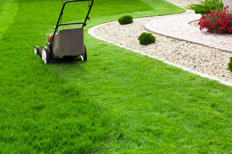 Consistent Yard Care