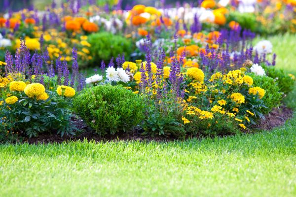 Flower Bed Maintenance