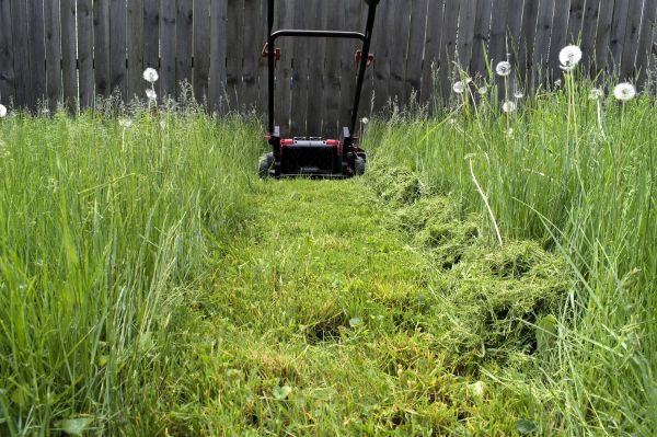 High Grass Mowing in Federal Way