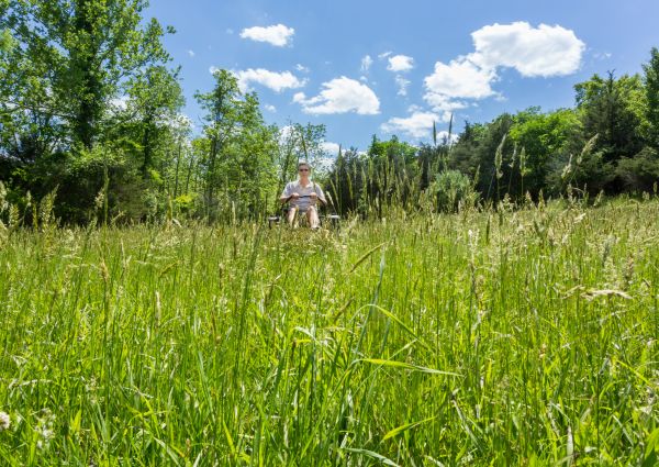 Long Grass Mowing in Federal Way