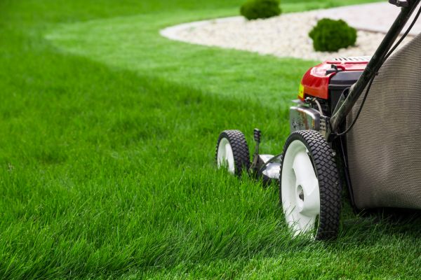 Weekly Mowing in Federal Way