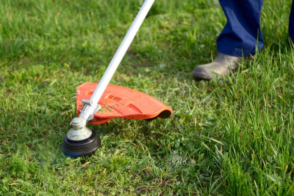 Cost of Lawn Weed Whacking in Federal Way